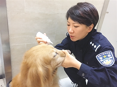 警花与警犬的一天(焦点瞬间)