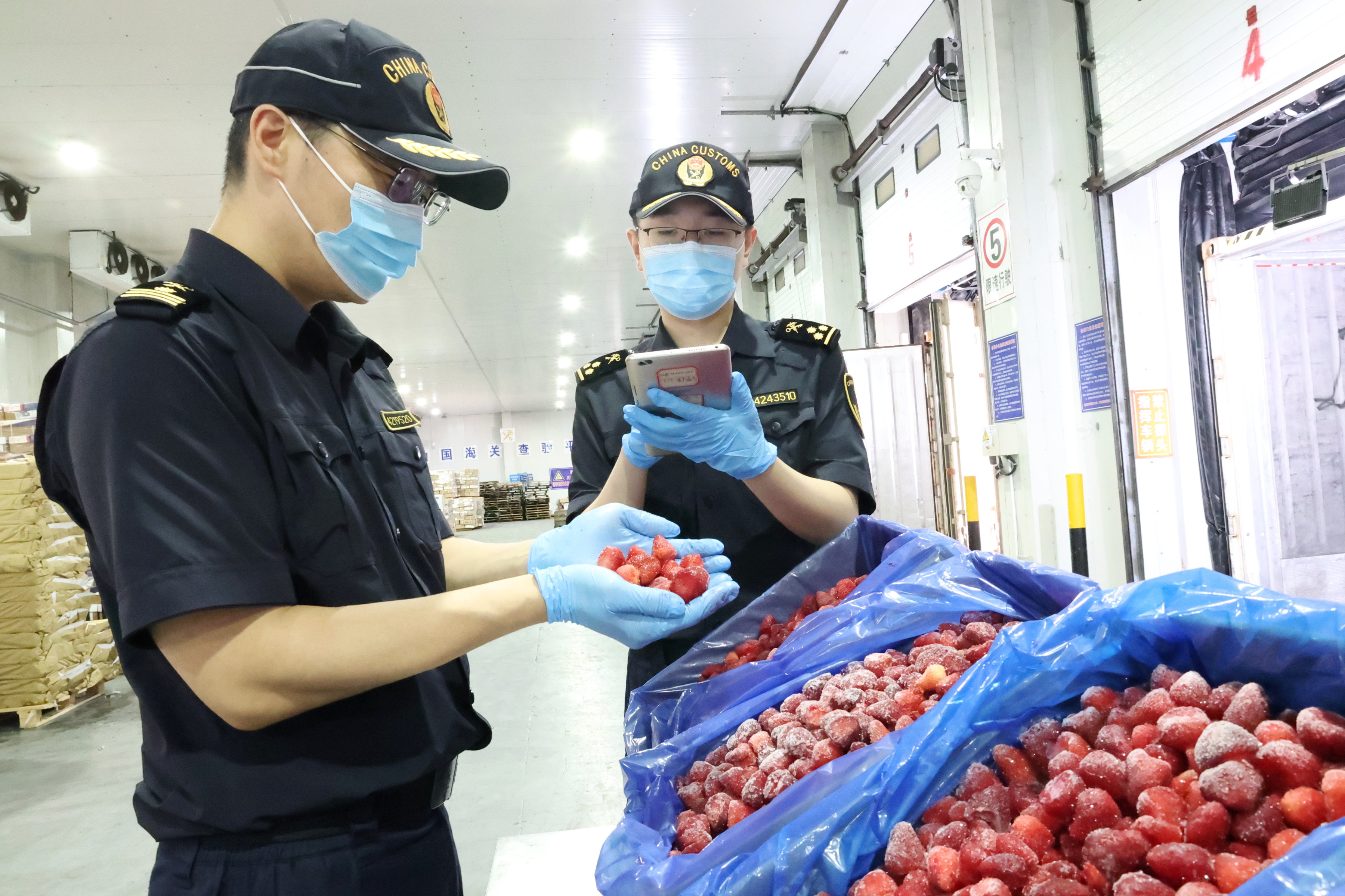 零关税举措促进山东自埃及进口大幅增长（图）