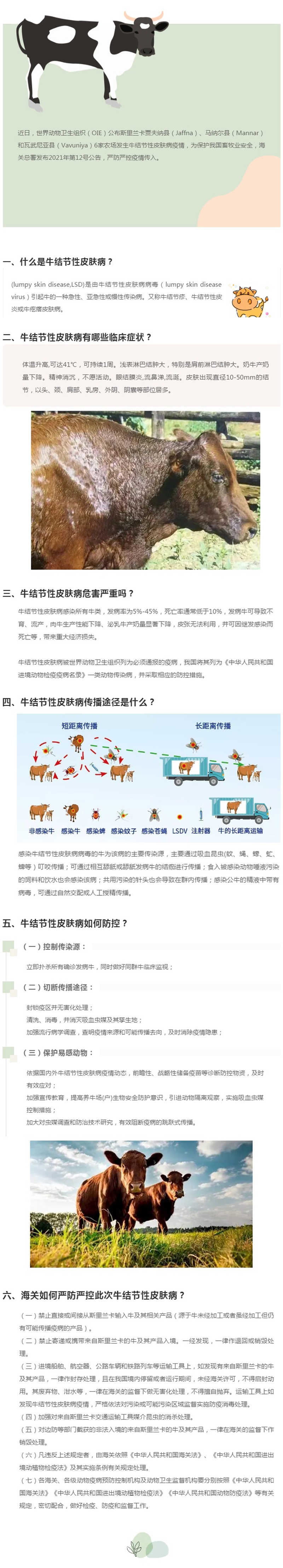 政策解读:牛结节性皮肤病