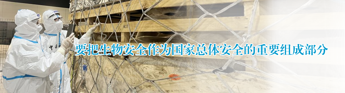 未命名-2