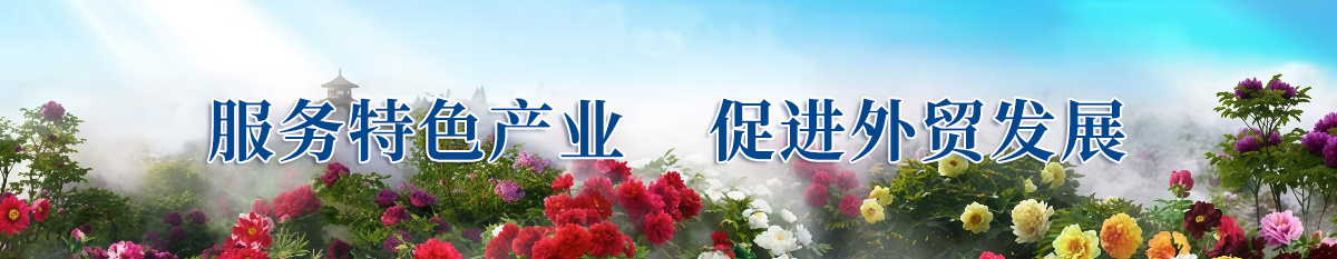 发挥行业优势 助力农产品出口